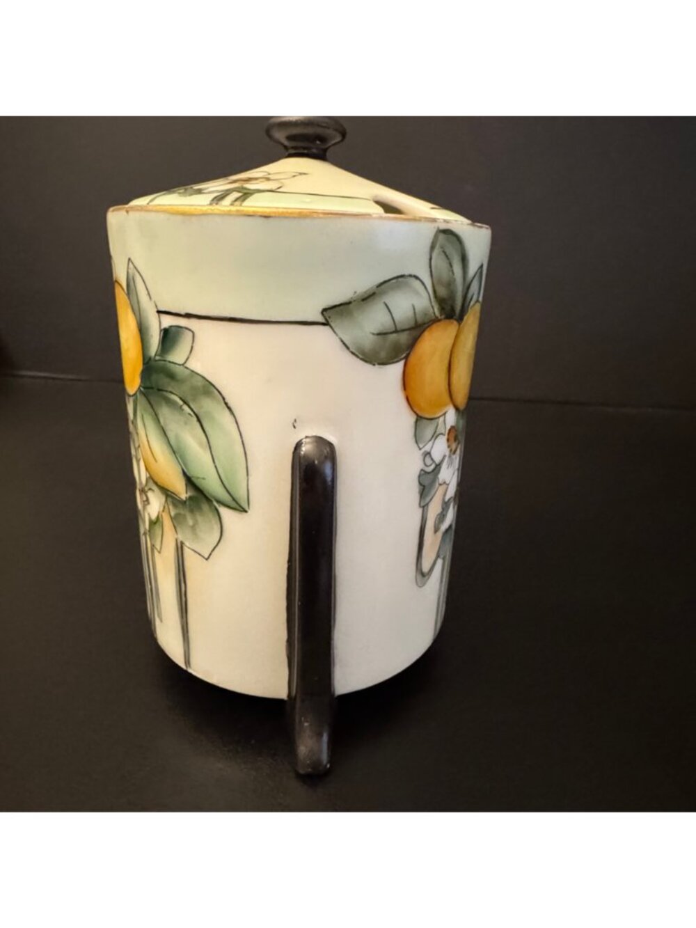 Thomas Of Bavaria Porcelain Jam Jar With Hand-Painted Orange Motif & Lid - Picture 2 of 16